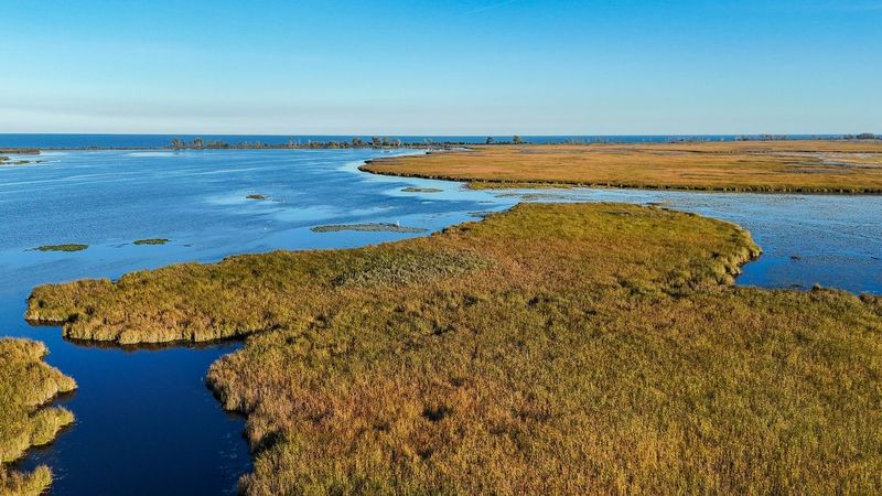 A long weekend on Put-in-Bay for $600